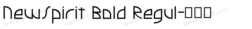 NewSpirit Bold Regul字体转换